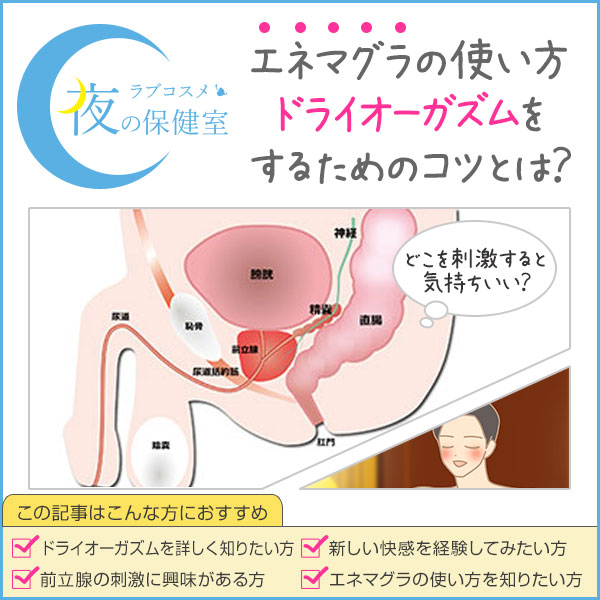 前立腺が気持ち良くなる私の感じ方 | アネロスジャパン |