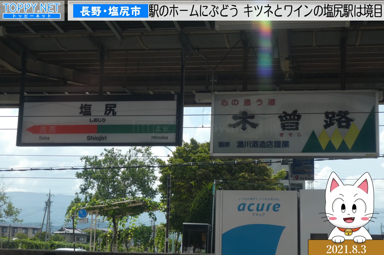 森高千里、2024長野塩尻公演に行ってきました！！｜モニャゾーのブログ｜モニャゾー＠後期FK8＆DC5と・・ときどき森高千里 - みんカラ