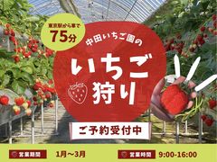 2025年3月～4月順次発送】完熟いちご直売所 赤い幸せの(やよいひめ)2パック | 群馬県太田市