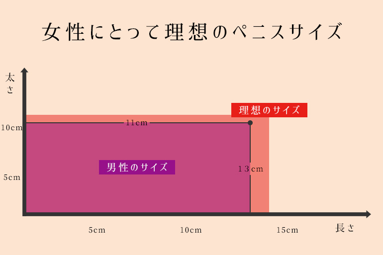 陰茎の大きさの基準は？ 大きく見せる方法も紹介