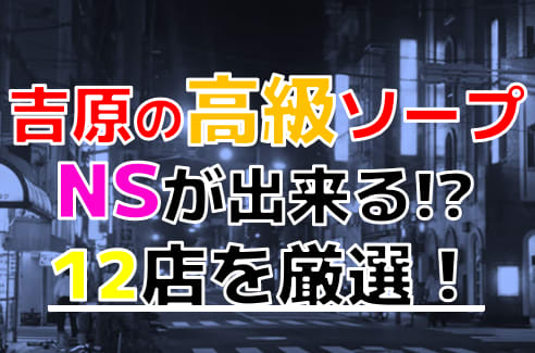 東京.吉原のNS/NNソープ『ヴェルサイユ』店舗詳細と裏情報を解説！【2024年12月】 | 珍宝の出会い系攻略と体験談ブログ