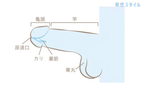 むけない包茎を自分で改善できる方法「むきトレ」とは？ | ネオ形成外科