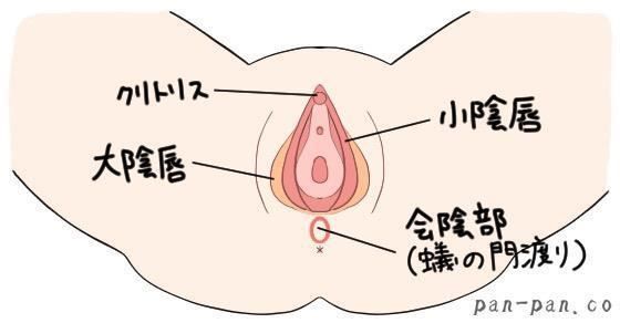 長期間の性的活動休止後の性交と前戯の方法 - Genspark