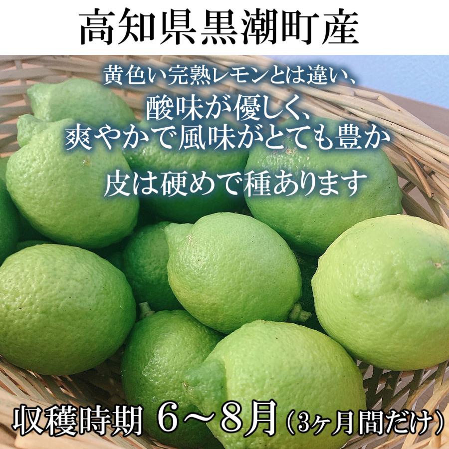 爽やかな酸味！「グリーンレモン」 約5kg | 高知野菜・果物のお取り寄せなら通販ショップ「とさごろ」