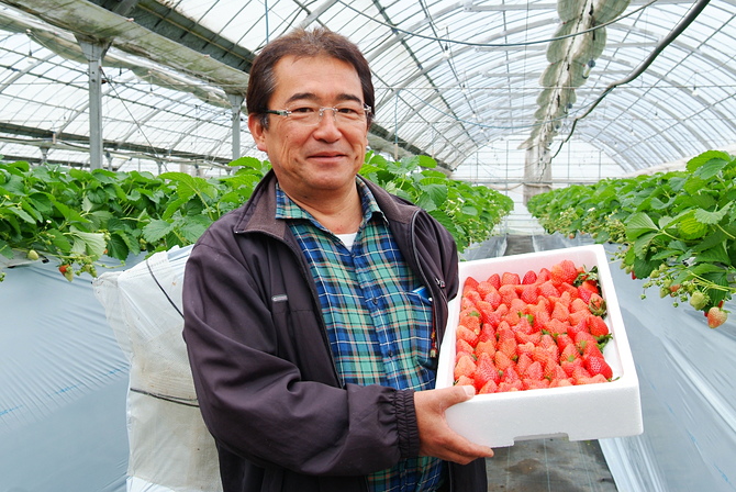 JA長生からのお知らせ ｜ JA長生 長生農業協同組合