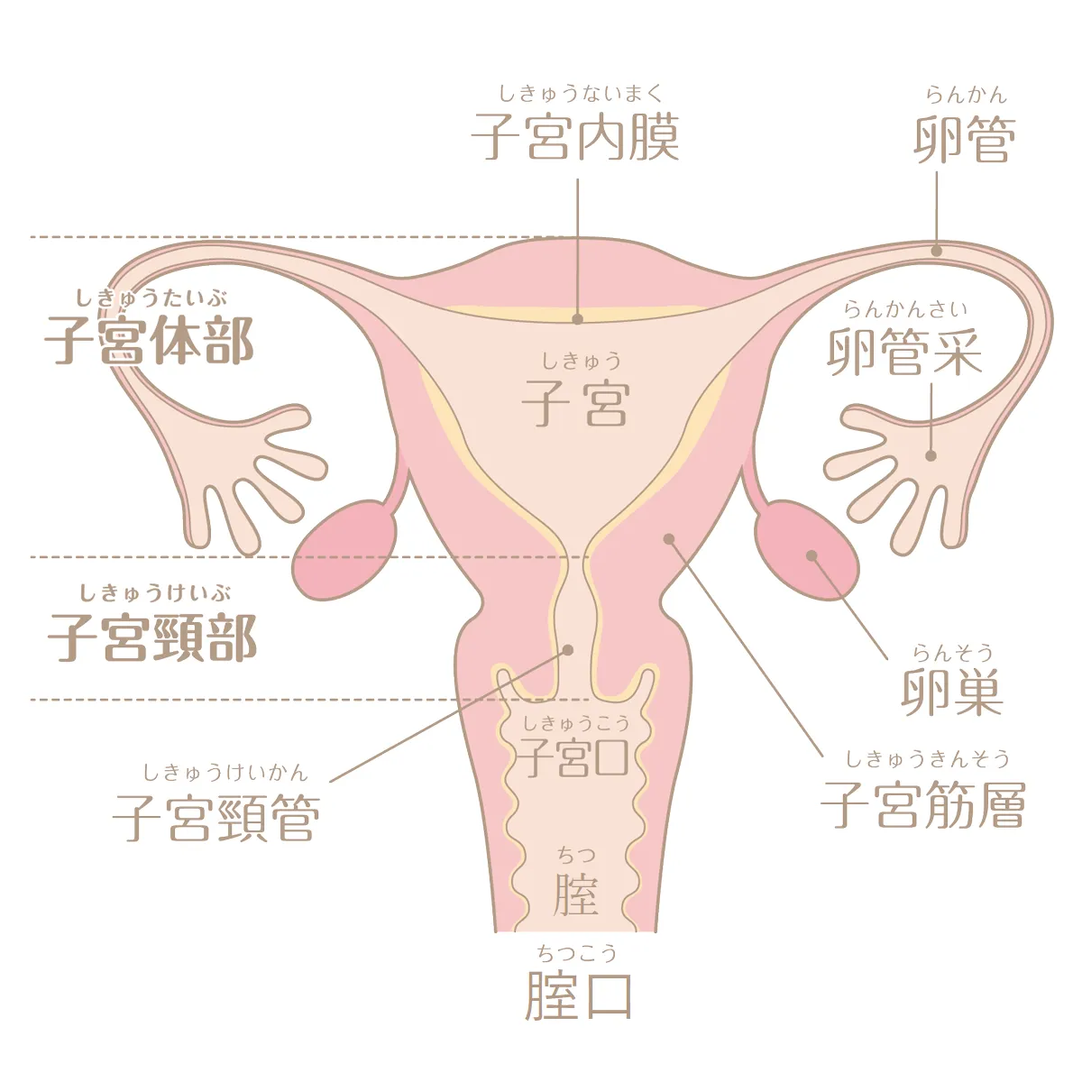 極上まんこ？！挿入に満足出来ないOL- Street Gals