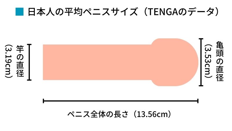 トイレットペーパーの芯チャレンジ】チンコの理想サイズは芯の大きさって本当なの？ | Men's Chinchi