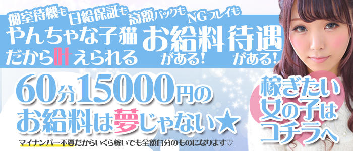 リアル日本橋店(リアルニホンバシテン)の風俗求人情報｜日本橋 ホテヘル