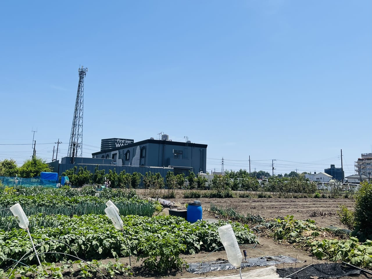 HOTEL ウォーターゲート徳山 (ウォーターゲートトクヤマ)｜山口県 周南市｜ハッピーホテル