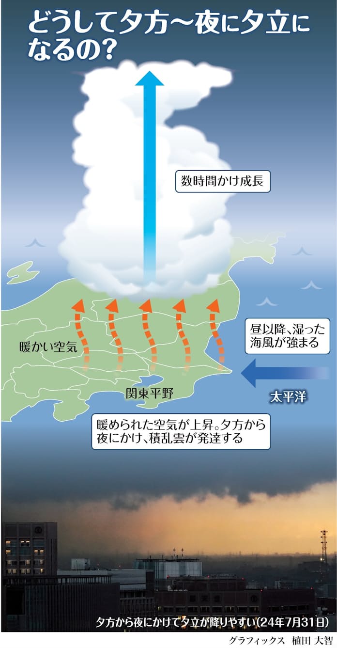 朝立ち（あさだち）とは？ 意味・読み方・使い方をわかりやすく解説 -