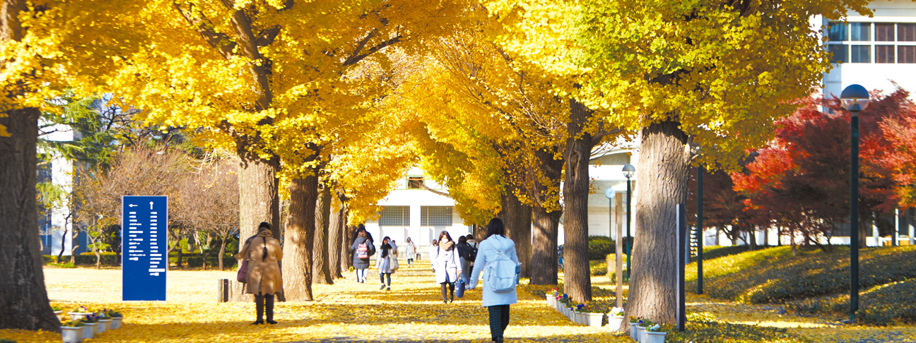 相模女子大学リカレント講座 | 未来志向の女性に向けたリーダーシップ育成講座