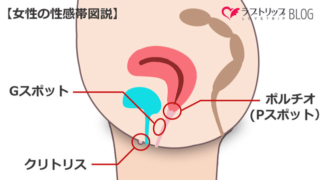 Gトリートメント | ガーデンクリニック