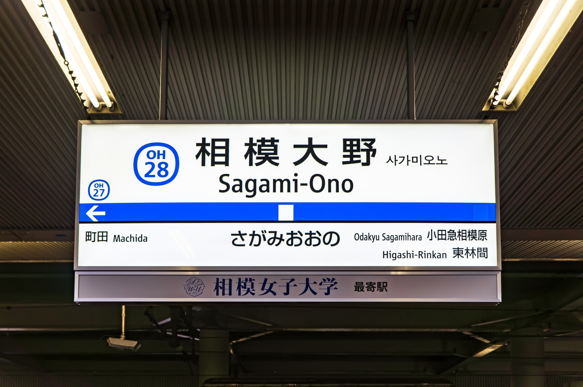 第3回】大学生が脱炭素施策を提案する「ZERO CARBONポスターセッションチャレンジ」 | 青山学院大学