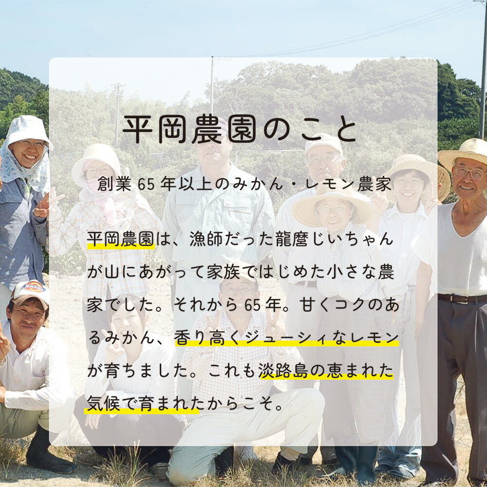 お知らせ] 夏レモン（特別栽培）高知県産のお届けが始まります | 有機野菜のぶどうの木