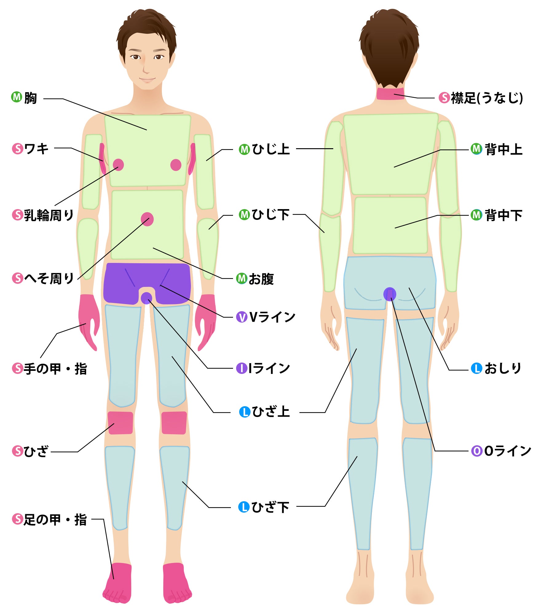 メンズエステ求人情報｜セラピストの口コミから優良店が見つかる！