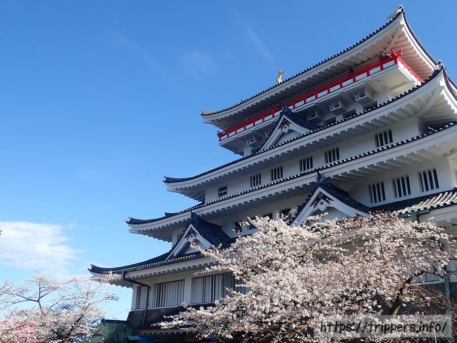 天守閣からの絶景と遊びを満喫！「熱海城」 | おでかけ情報｜温泉ぱらだいす静岡