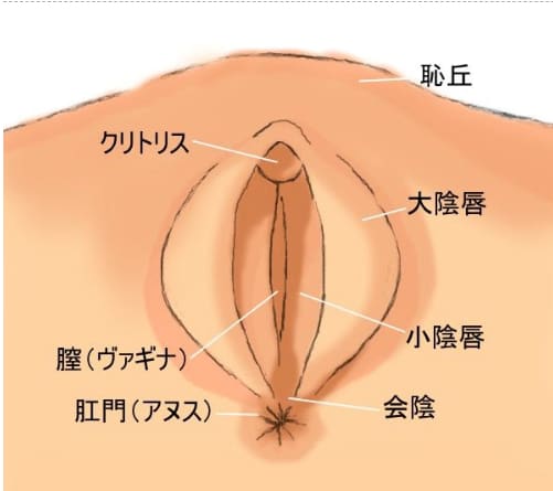 ママのおマンコ舐めたい！！ - 無料エロ動画