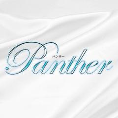 広島ソープヘルス PANTHER (パンサー)