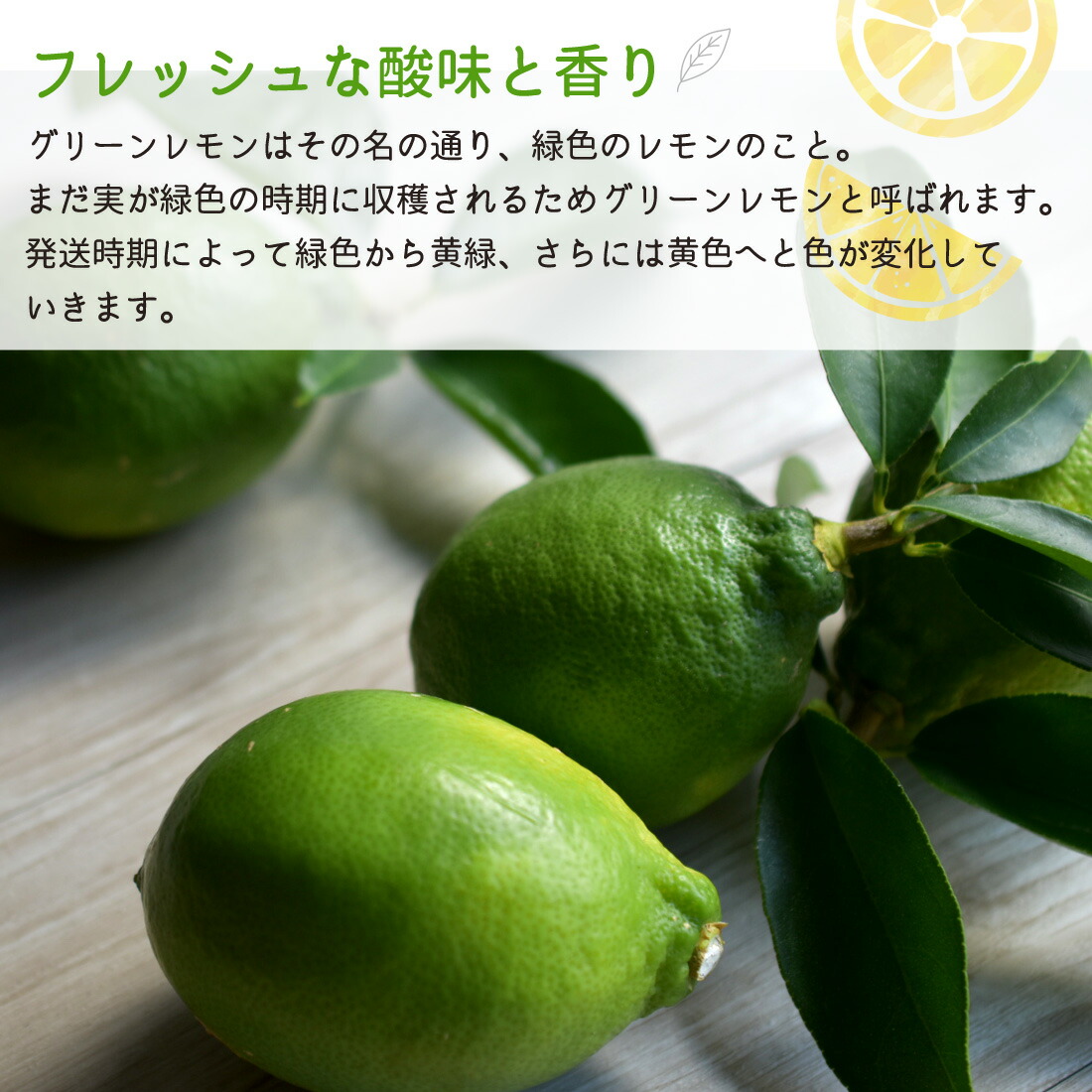 カワカミさん”が一押し～文旦とレモンの素敵な出会い～恋する文旦レモンケーキ（3個入） | 菓子工房レネー