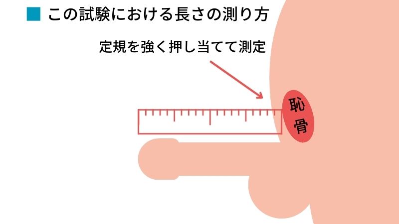 女性が思う理想のペニスサイズ – メンズ形成外科 |