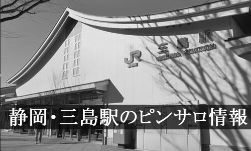 本番体験談！赤羽のピンサロ3店を全40店舗から厳選！【2024年おすすめ】 | Trip-Partner[トリップパートナー]