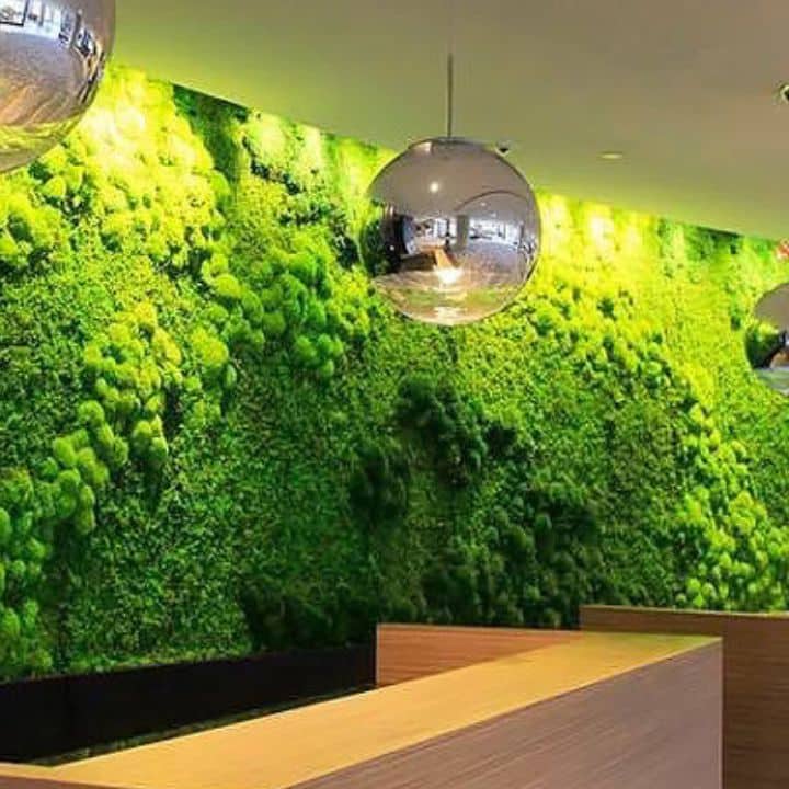 Muro musgo natural preservado - Eco Deco Tienda