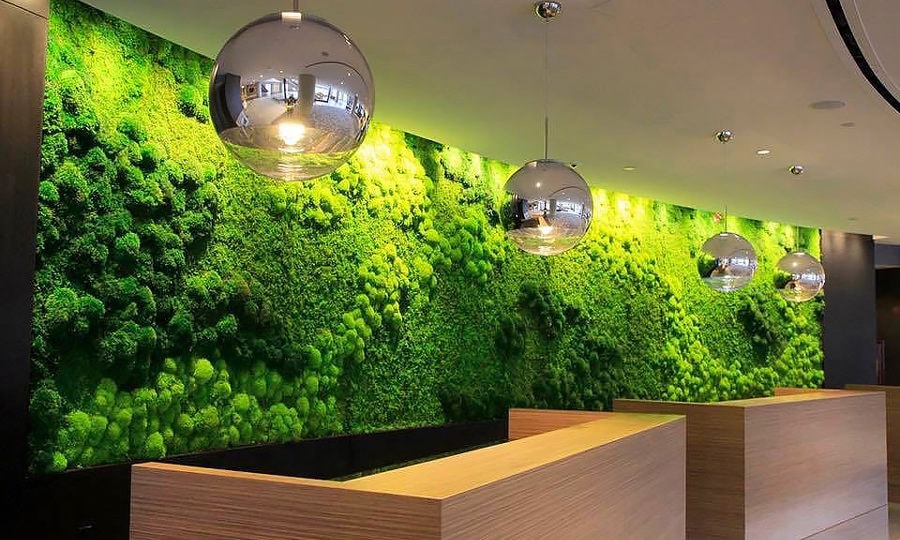 Muro musgo natural preservado - Eco Deco Tienda